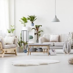 Spacious living room with floral patterns, natural elements and abundant natural light